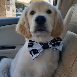 Meet your Posher, Jill